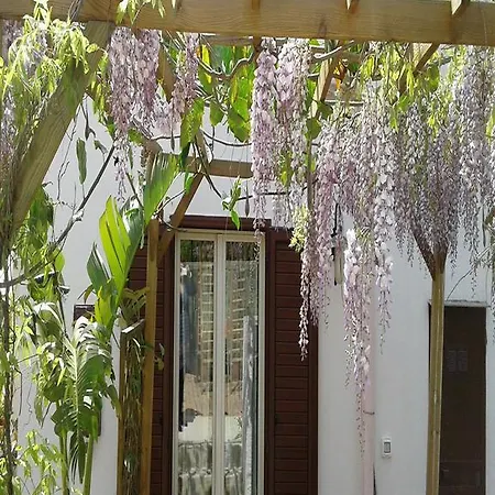 Stella Sul Mare Guest house